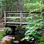 <palign=center> Parc national La Mauricie, sentier Lac-du-Fou